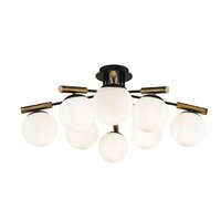 Freya Paolina FR5011CL-08B