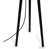 Maytoni Z177FL-01B Image #2