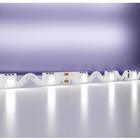 Maytoni Led strip 24В 5050 12Вт/м 6000К IP20 20046 Image #3
