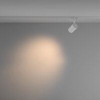 Technical Vuoro TR029-3-10W3K-M-W Image #5