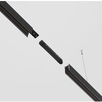 Maytoni Technical Exility TRA034PC-42B Image #4