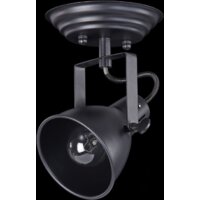 Freya Ibbi FR4276-CW-01-B Image #3