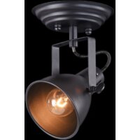 Freya Ibbi FR4276-CW-01-B Image #4