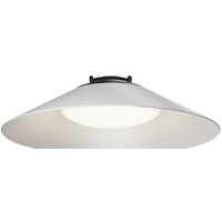 Maytoni Campana TR127B-12W4K-W Image #1