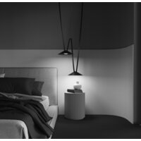 Maytoni Campana TR127B-12W3K-B Image #8