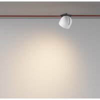 Maytoni Cup TR124B-12W3K-W Image #2