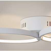 Maytoni Olympia MOD448CL-L40WK Image #6