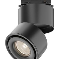 Maytoni Unity Yin TR084-1-15W3K-B Image #1