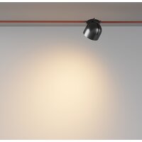 Maytoni Cup TR124B-12W3K-B Image #7