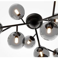 Maytoni Dallas MOD545CL-12B Image #3