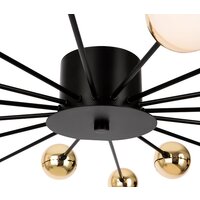 Freya Celebrity FR5242CL-16B Image #3