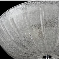 Maytoni Ceiling & Wall Sienna C216-CL-03-N Image #4